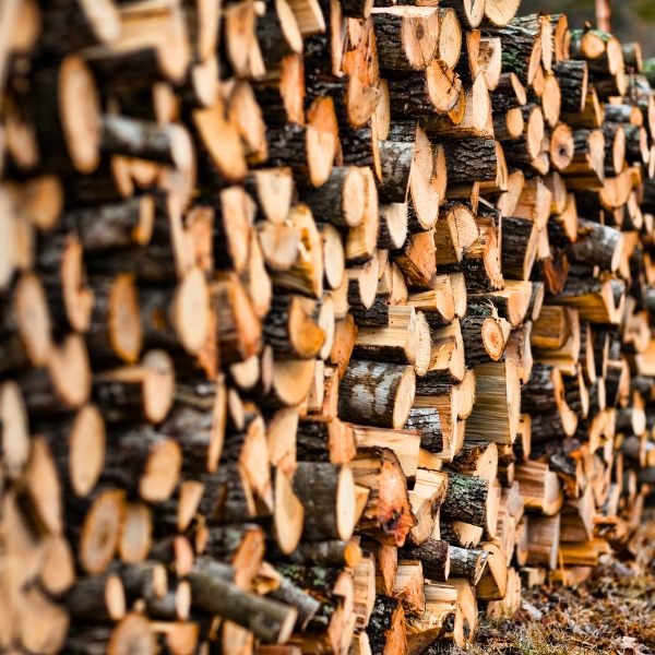 Firewood for sale in Ibiza - Lena lista para entrega